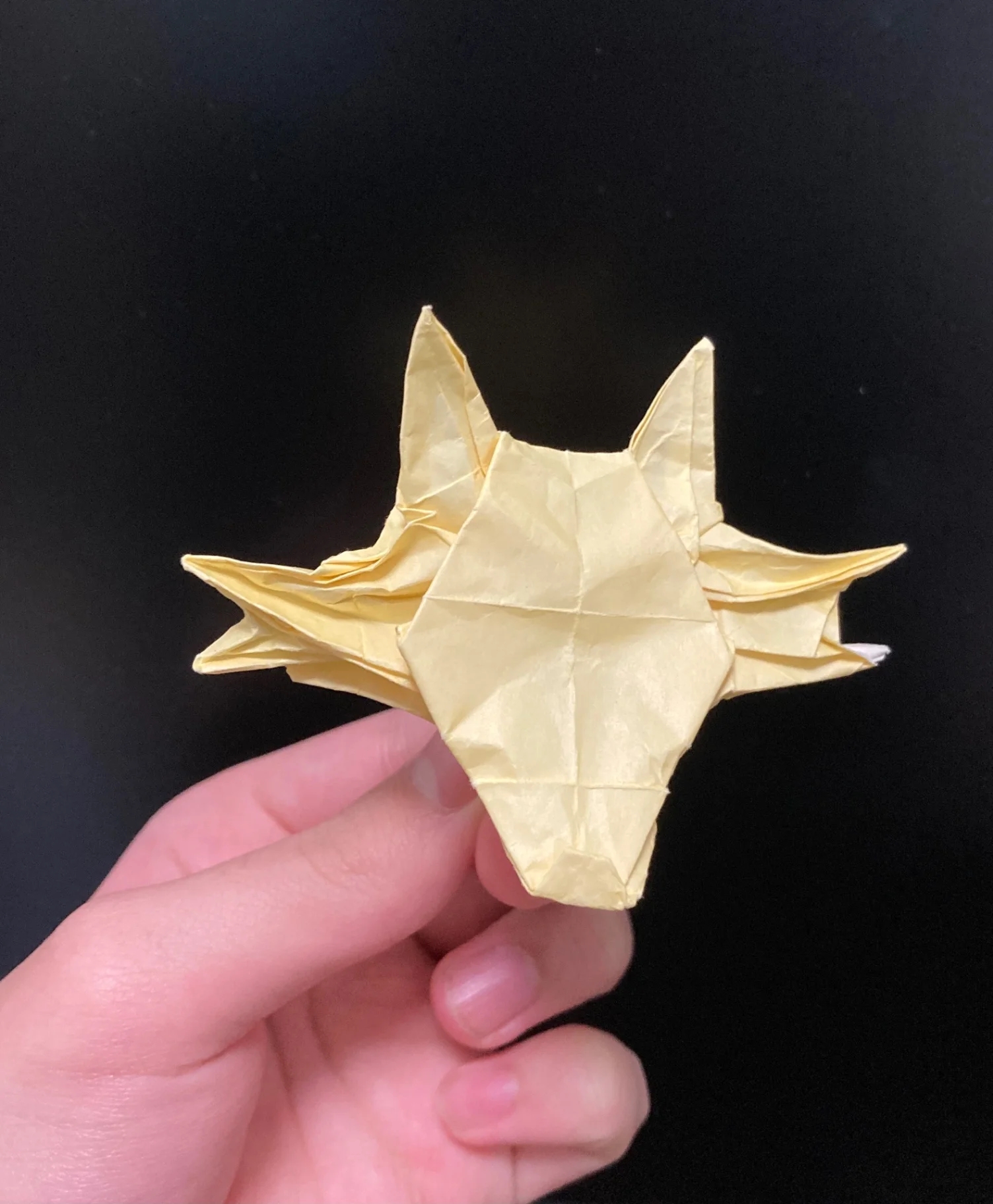 レゴシ(頭部) - Image 1