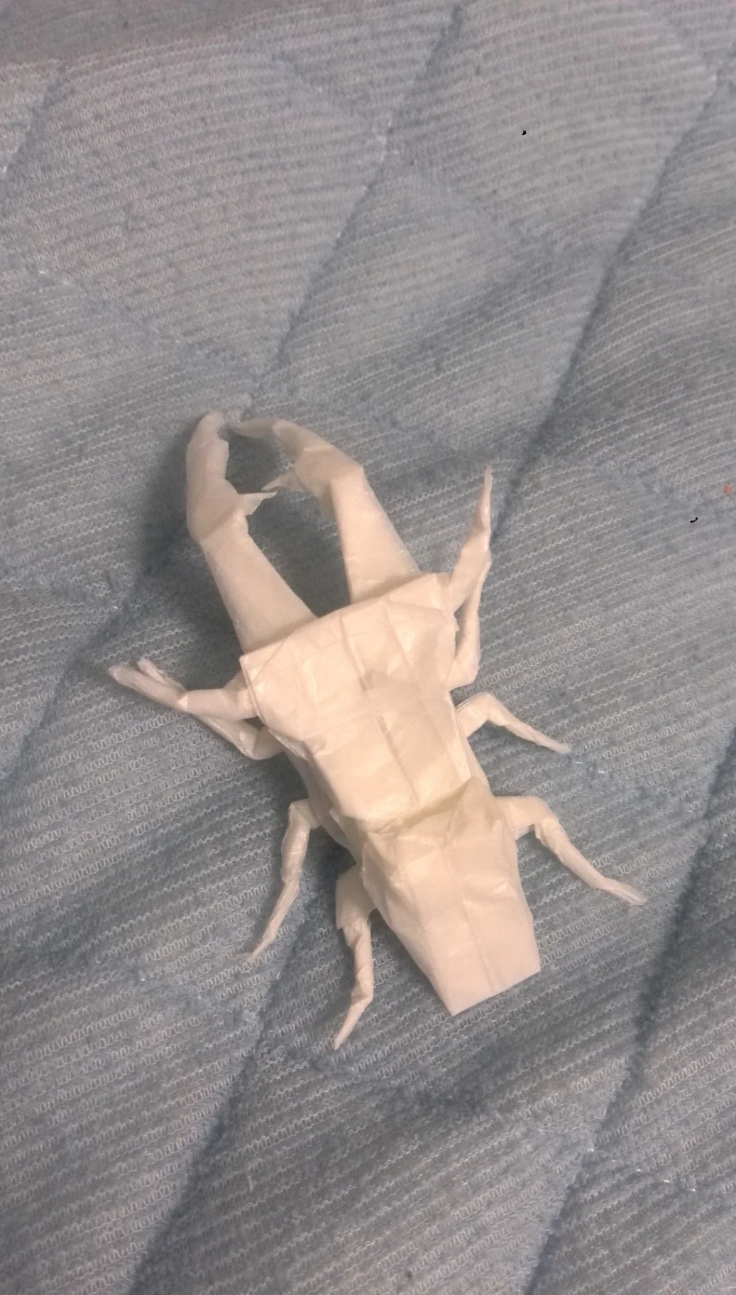 メタリフェルホソアカクワガタ - Image 1